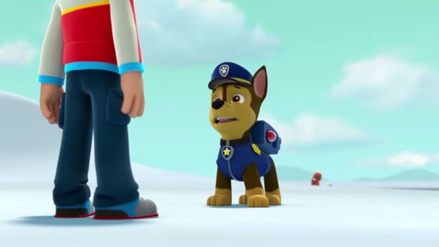 File:PAW.Patrol.S02E07.The.New.Pup.720p.WEBRip.x264.AAC 830830.jpg