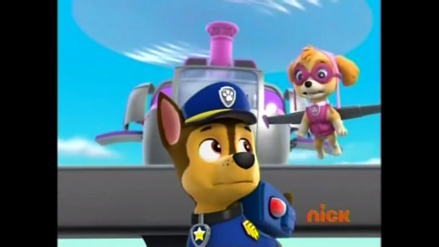 File:Pp213.png