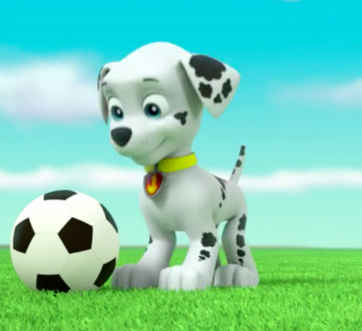 File:Screenshot 2017-05-10 03.20.08.png
