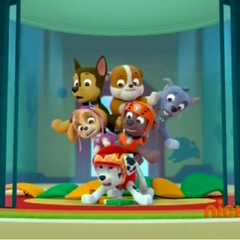 Rocky/Gallery/Pups Save the Pop-Up Penguins | PAW Patrol Wiki | FANDOM powered by Wikia