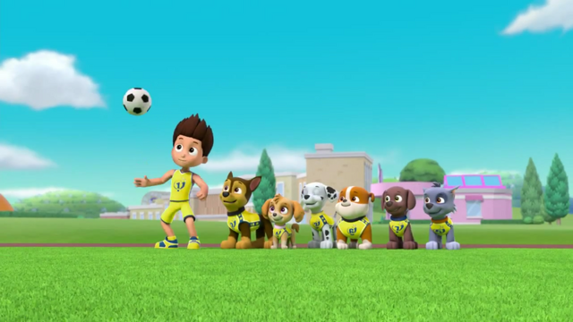 File:Pups Soccer 19.png