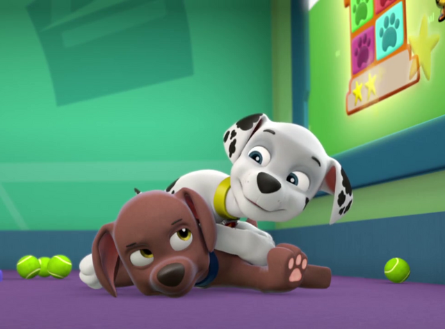 File:Vlcsnap-2014-05-20-19h08m50s138.png