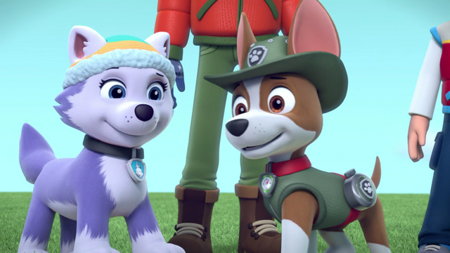 File:Screenshot 2016-12-28-20-50-47.png