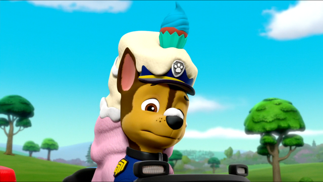 File:PP 40.png