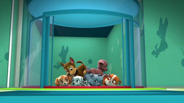 File:PAW.Patrol.S01E15.Pups.Make.a.Splash.-.Pups.Fall.Festival.720p.WEBRip.x264.AAC 210477.jpg