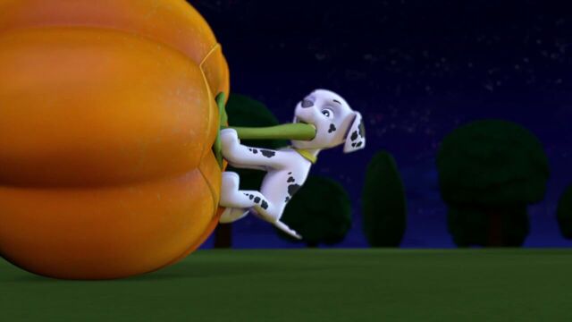 File:PAW.Patrol.S01E12.Pups.and.the.Ghost.Pirate.720p.WEBRip.x264.AAC 120721.jpg