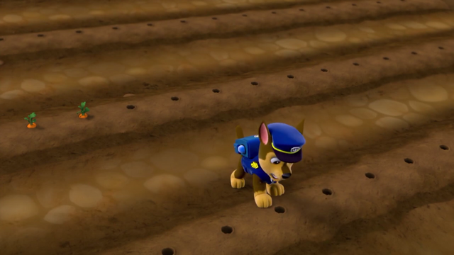 File:Screenshot 2016-12-17-19-52-39.png