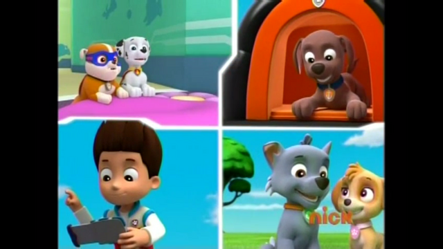 File:Pp513.png