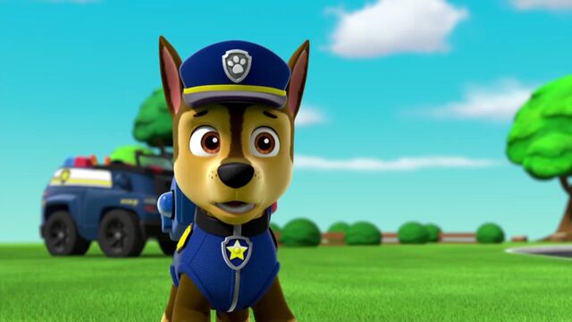 File:PAW.Patrol.S02E03.Pups.Save.Jake.-.Pups.Save.the.Parade.720p.WEBRip.x264.AAC.mp4 000719785.jpg