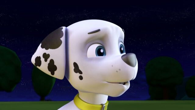 File:PAW.Patrol.S01E12.Pups.and.the.Ghost.Pirate.720p.WEBRip.x264.AAC 123357.jpg