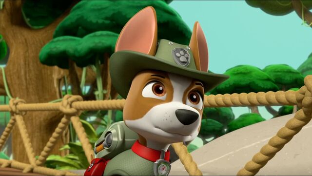 File:Monkey-dinger 37.jpg