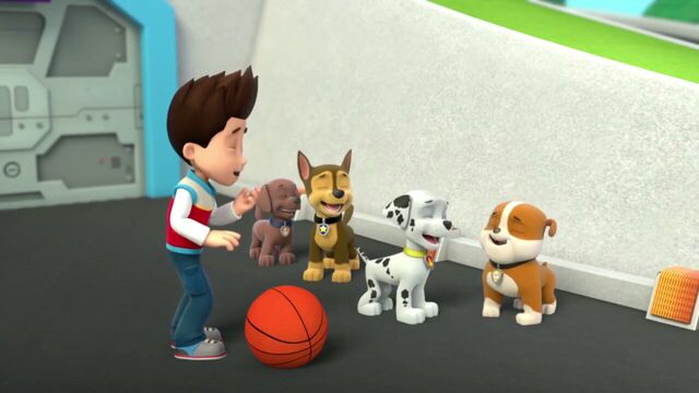 File:PAW.Patrol.S01E26.Pups.and.the.Pirate.Treasure.720p.WEBRip.x264.AAC 148048.jpg