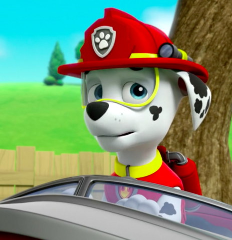 File:Screenshot 2017-04-29 17.20.33.png