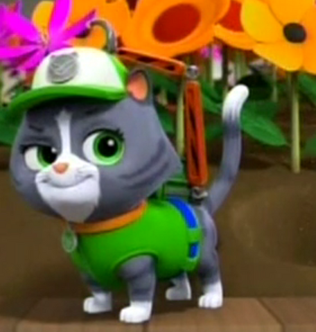 Plik:Cat Rocky.png