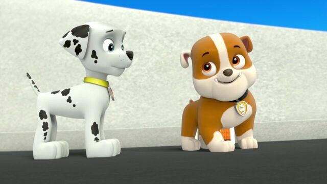 File:PAW.Patrol.S01E26.Pups.and.the.Pirate.Treasure.720p.WEBRip.x264.AAC 144244.jpg