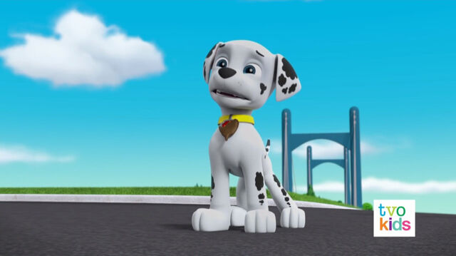 File:PAW Patrol Pups Save a Flying Kitty 16.jpg