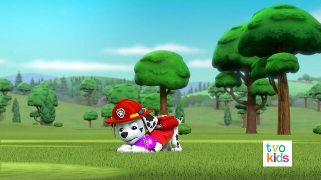 File:PAW Patrol 319B Scene 25 Marshall.jpg