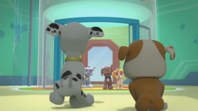 File:Pp764.png