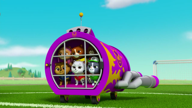 File:Pups Soccer 2.png