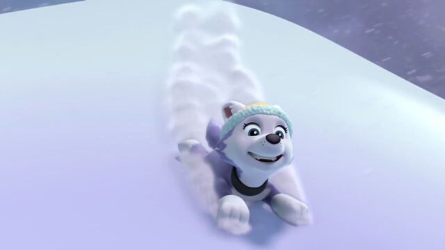File:PAW.Patrol.S02E07.The.New.Pup.720p.WEBRip.x264.AAC 477410.jpg