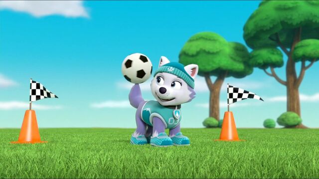 File:All Star Pups! 4.jpg