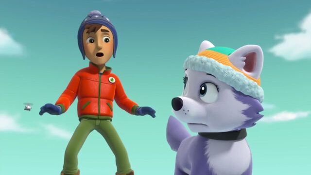 File:PAW.Patrol.S02E07.The.New.Pup.720p.WEBRip.x264.AAC 1037203.jpg