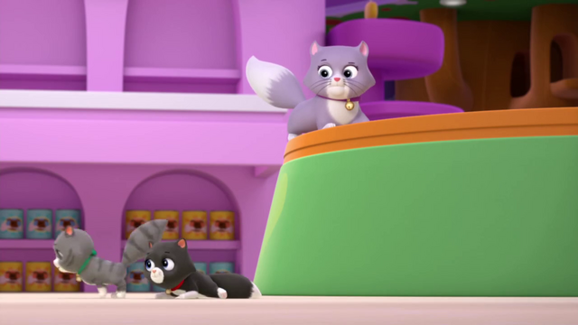 File:Vlcsnap-2015-05-04-11h58m41s36.png