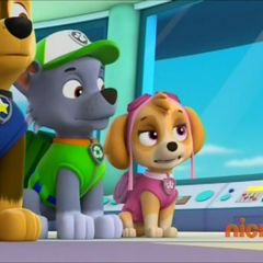 paw patrol pups save a high flying skye