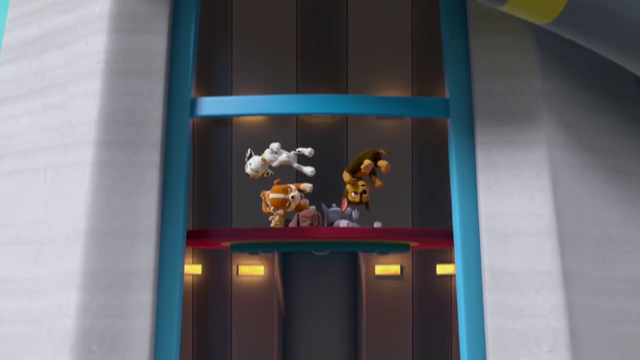 File:Zuma GC 6.png