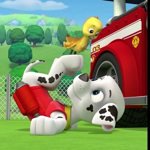 File:Marshall and Fuzzy.jpg