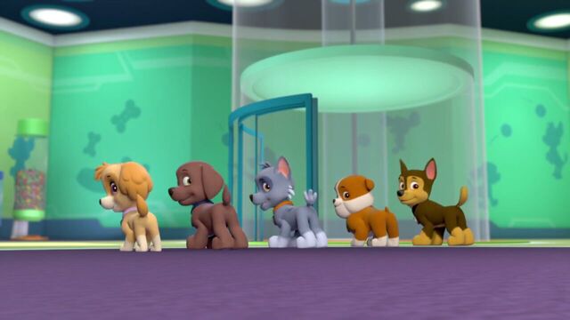 File:PAW.Patrol.S01E21.Pups.Save.the.Easter.Egg.Hunt.720p.WEBRip.x264.AAC 197464.jpg