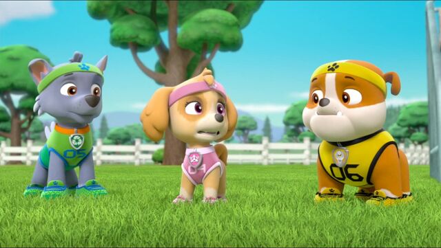 File:All Star Pups! 25.jpg