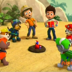 paw patrol pups save the parrot