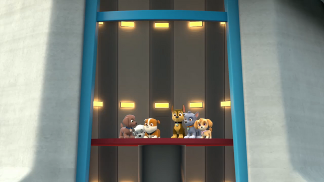 File:Pp866.png
