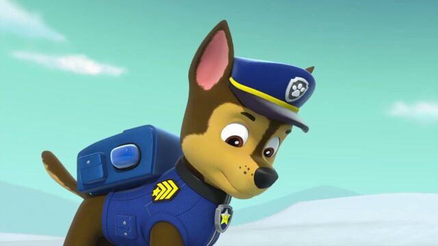File:PAW.Patrol.S02E07.The.New.Pup.720p.WEBRip.x264.AAC 1022021.jpg