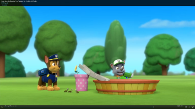 File:Pp65.png