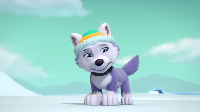 File:PAW.Patrol.S02E07.The.New.Pup.720p.WEBRip.x264.AAC 1273005.jpg