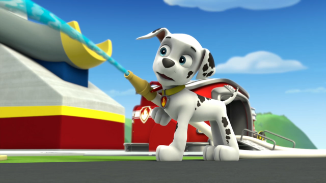 File:Pp856.png