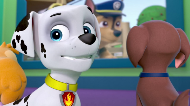 File:Vlcsnap-2014-05-17-09h57m06s121.png