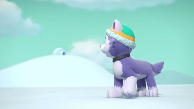 File:PAW.Patrol.S02E07.The.New.Pup.720p.WEBRip.x264.AAC 1225157.jpg