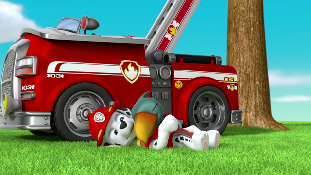 File:Terry2.png