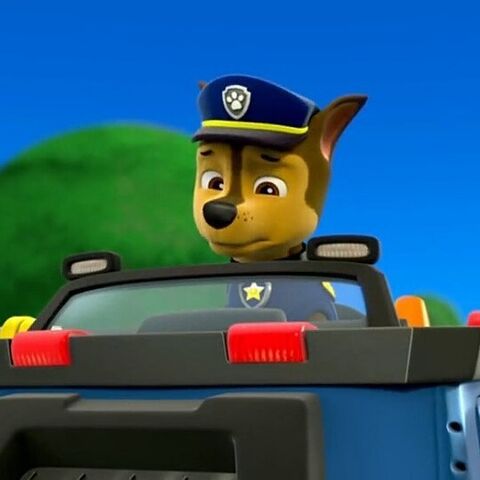 File:16908498 243188382809558 1010180212144472064 n.jpg