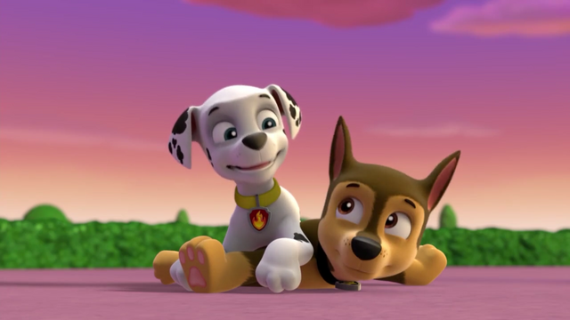 File:Screenshot 2016-12-20-12-20-10.png