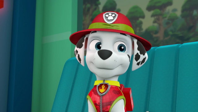 File:Vlcsnap-2016-09-05-18h04m45s332.png