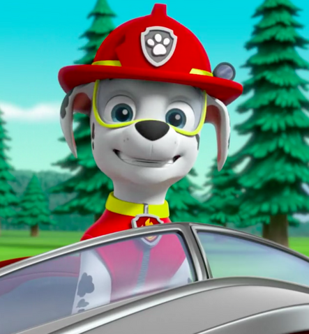 File:Screenshot 2017-05-19 10.21.48(16).png