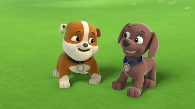 File:PAW.Patrol.S01E21.Pups.Save.the.Easter.Egg.Hunt.720p.WEBRip.x264.AAC 77244.jpg