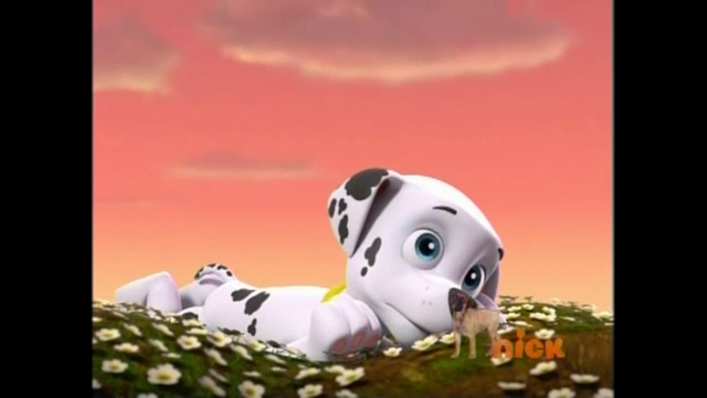 File:Pp2447.png