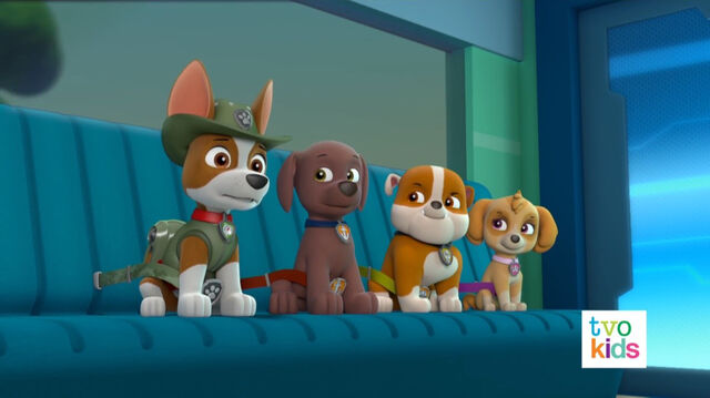 File:PAW Patrol Pups Save Big Hairy 10.jpg