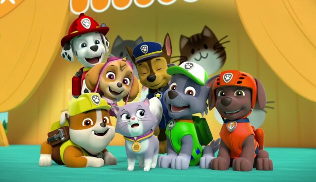 File:The Cat Show 45.jpg