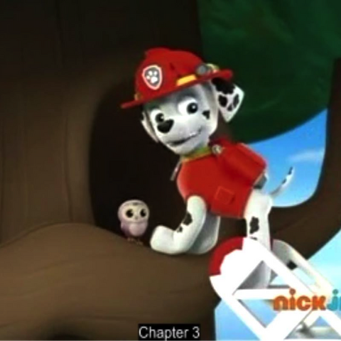 Little Hootie/Gallery/Pups and the Pirate Treasure | PAW Patrol Wiki | FANDOM powered by Wikia